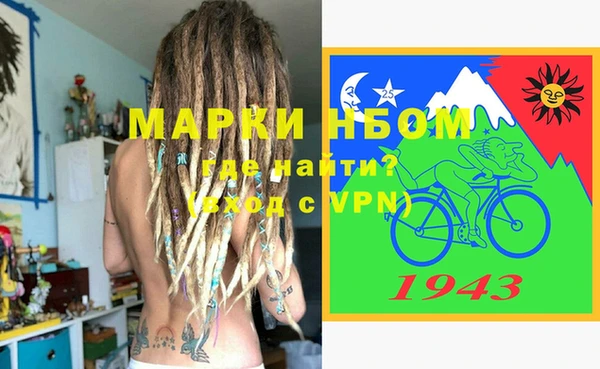 индика Михайловск