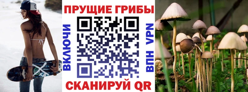 купить наркоту  Усть-Кут  Галлюциногенные грибы Psilocybe 